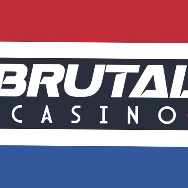 Ecopayz Online Casino Nederland