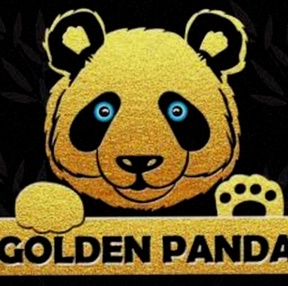 Gokautomaat Casino Nederland