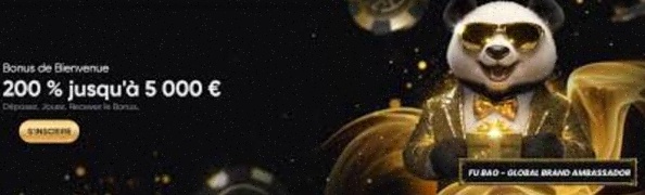 Paysafecard Casino Online NL Legaal