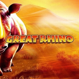 Videoslot Online Casino NL App