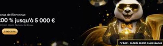 Casino 2024 betaalmethoden