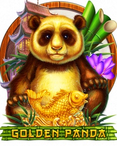 Casinofy Casino NL bonus